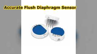 Flush Diaphragm Pressure Transmitter 0.5% Accuracy